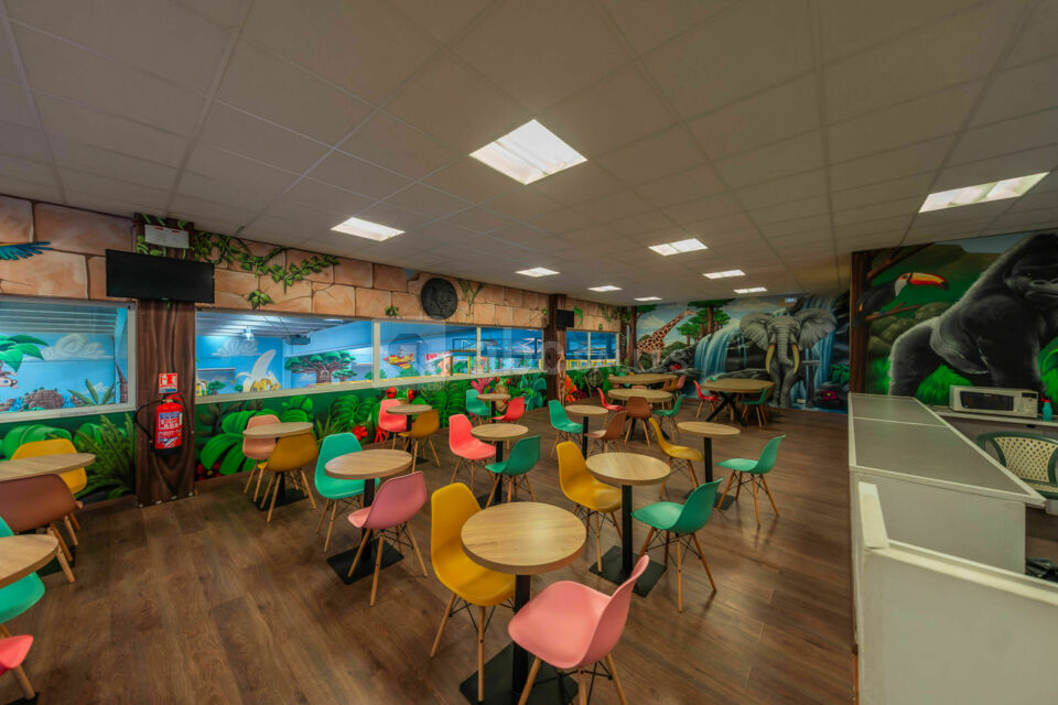 Jungle Indoor