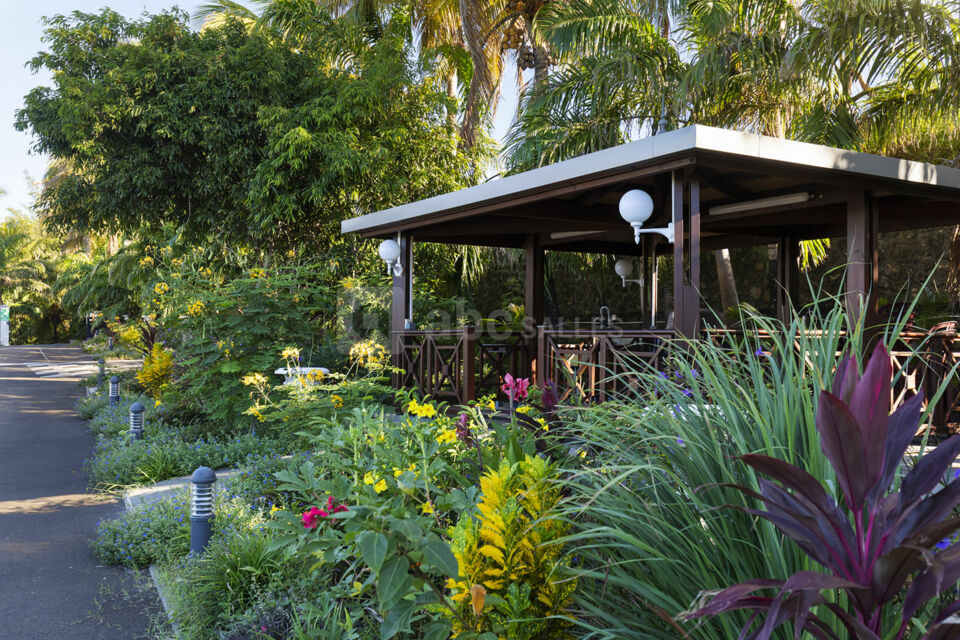 Les Jardins de Surya