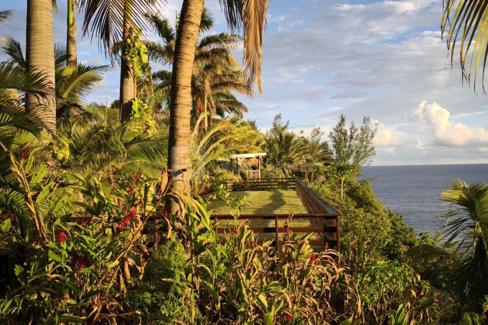 Les Jardins de Surya