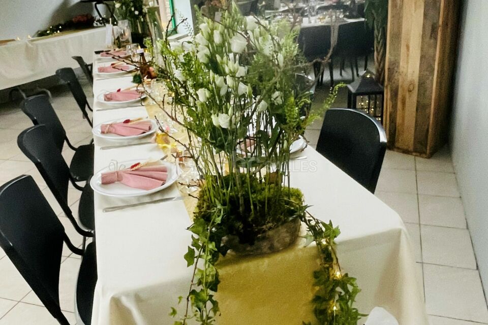 Domaine le Moulin du Bois