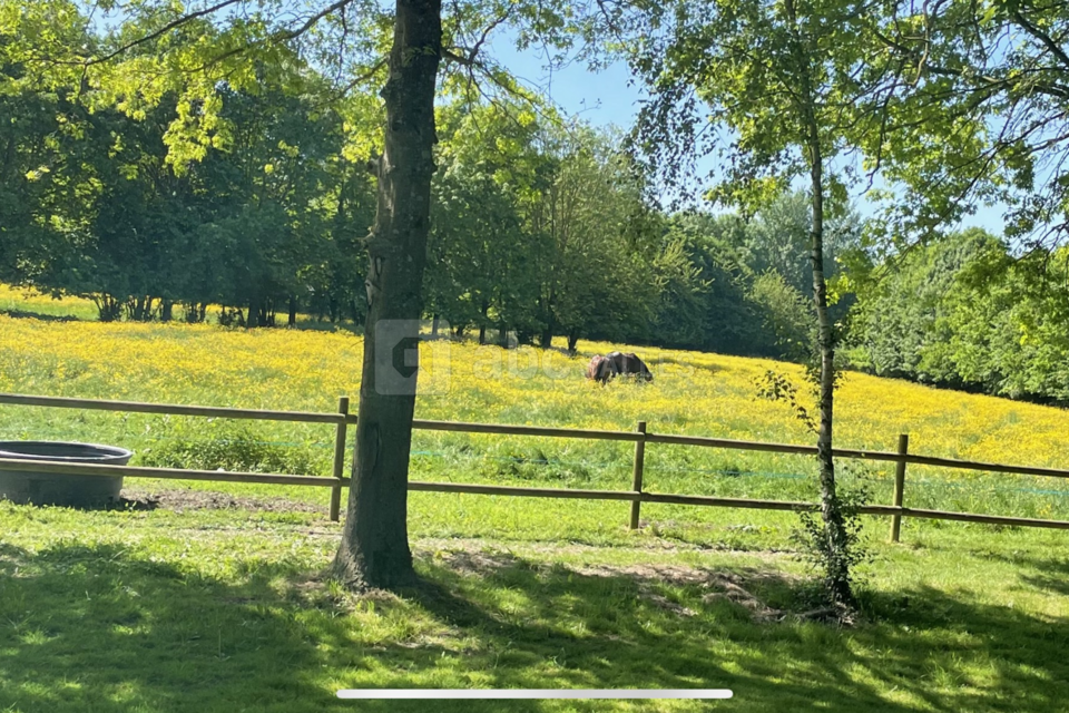 Domaine le Moulin du Bois