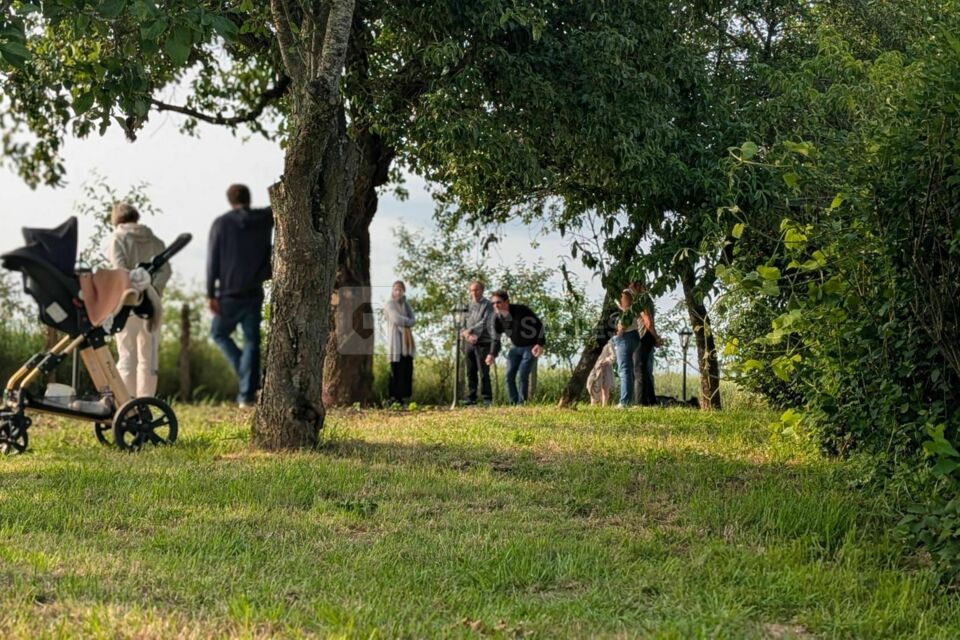 Domaine de la Patrisière