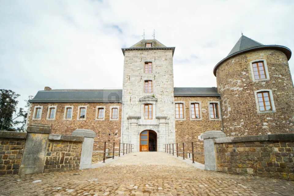 Château Neuville en Condroz