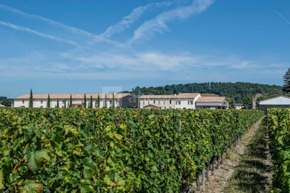 Château Fleur de Lisse - Vignobles Jade