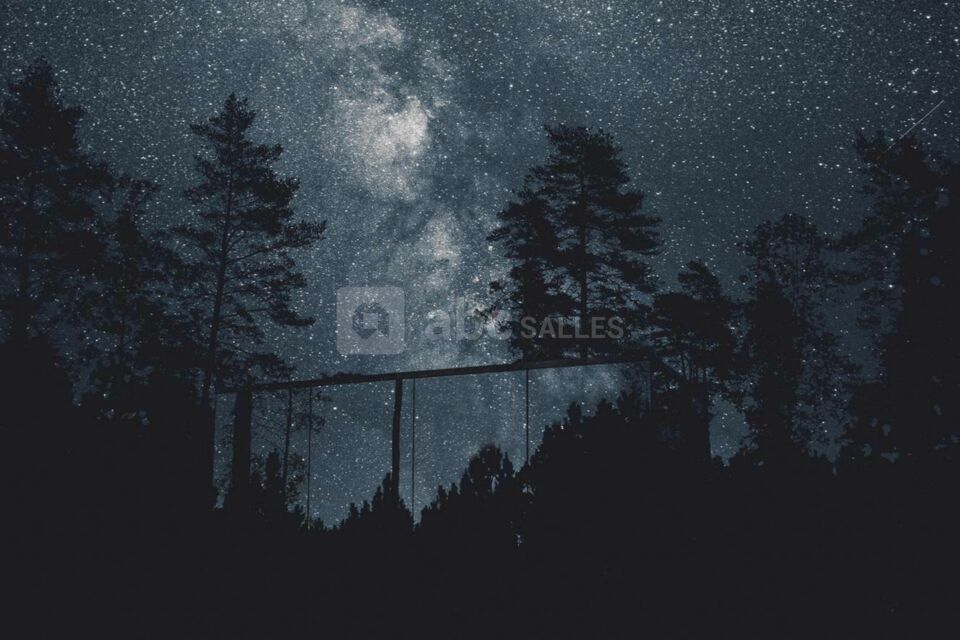 BonjourSauvage Seignosse