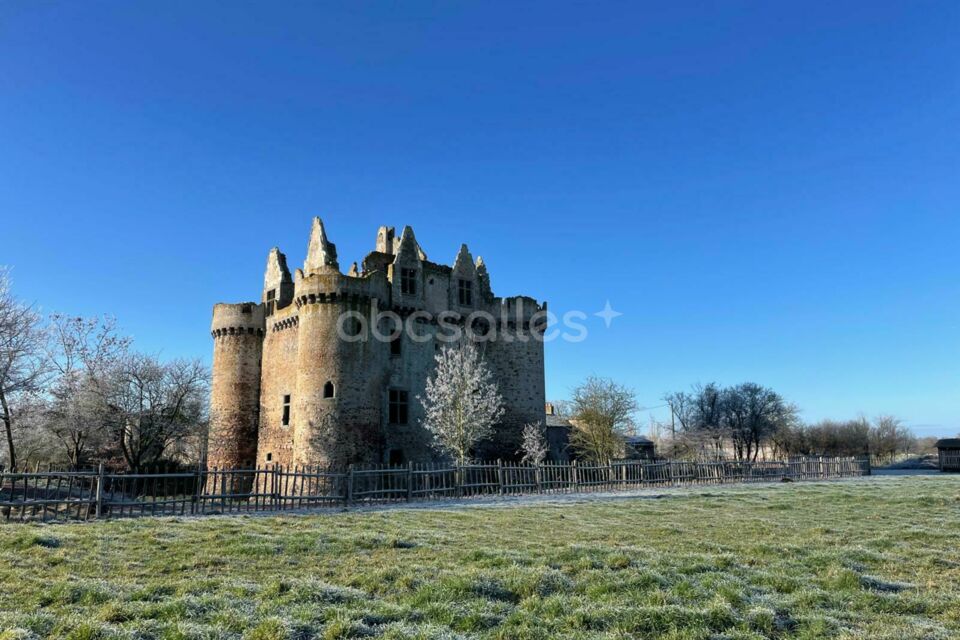 Château de l'Ebaupinay
