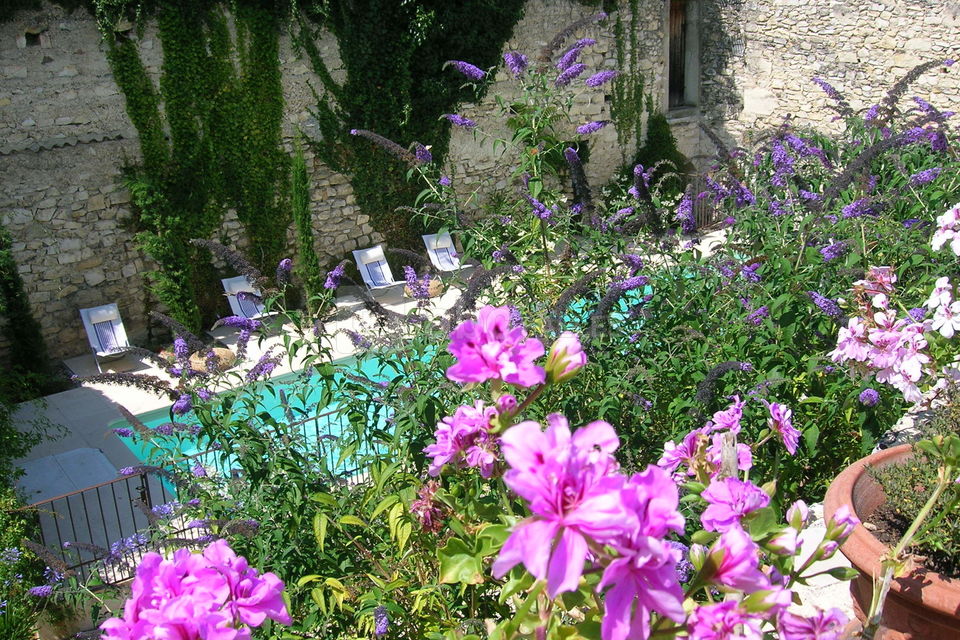 Jardin