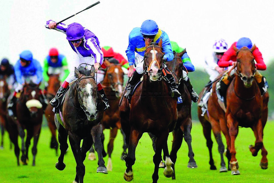 Les Hippodromes de Lyon - Hippodrome de Bron Parilly