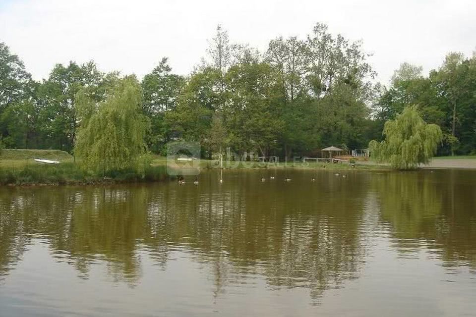 Premier étang