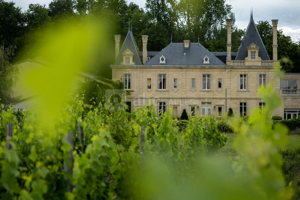 Château Meyre