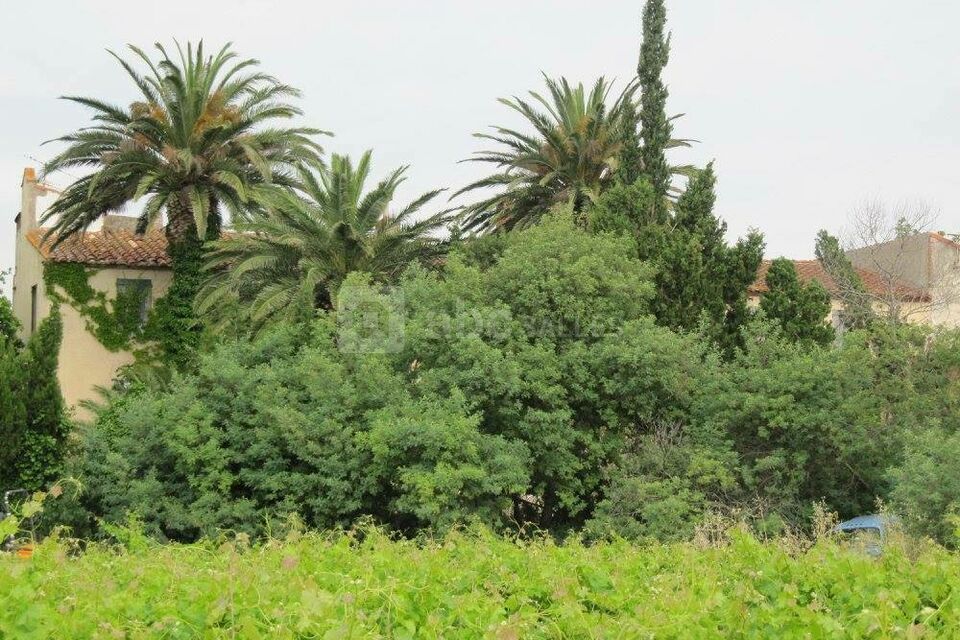Domaine de la Fosseille