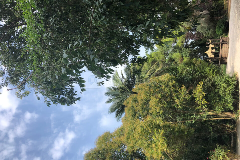 Domaine de la Fosseille